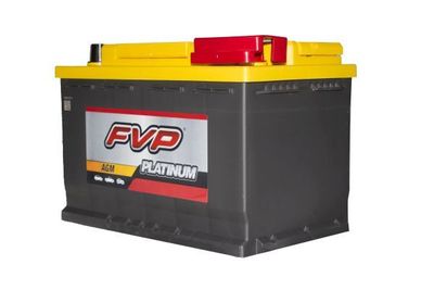 FVP Platinum Batteries P48AGM view 2