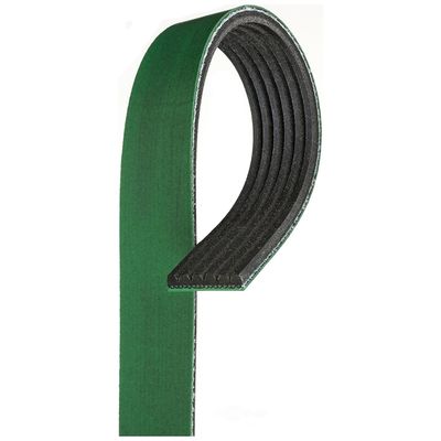 NAPA Belts/Hose 25060795HD