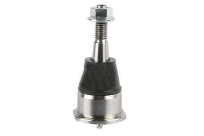 Suspensia X06BJ0393