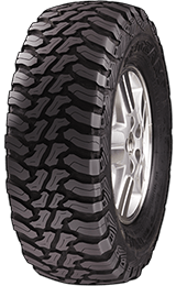 Accelera Accelera MT-01 tire