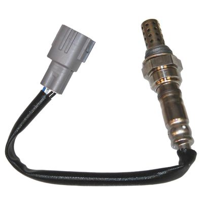 Walker Products 35034479