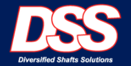 DSS logo