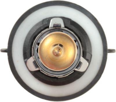 NAPA Lamps BP9008NVBN view 6