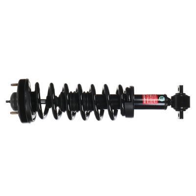 Monroe Quick-Strut 173031R