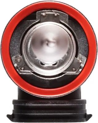 NAPA Lamps BPH11NVCN view 13