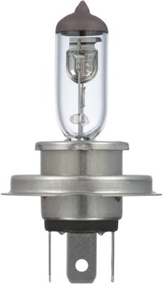 NAPA Lamps BP9003NVCN view 10