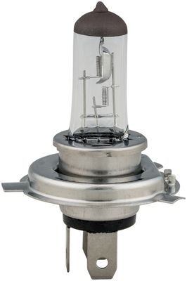 NAPA Lamps BP1260H4BLN