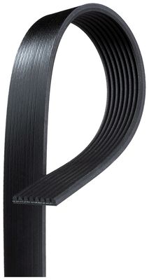 NAPA Belts/Hose 25081294