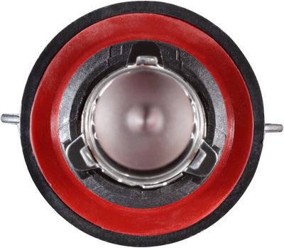 NAPA Lamps BP9008NVC2N view 8