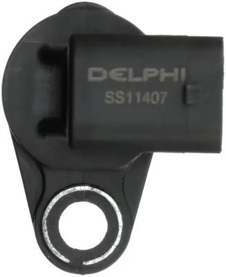 Delphi SS11407 view 12