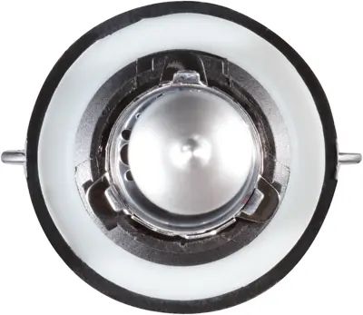 NAPA Lamps BP9008NVVN view 14