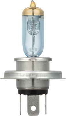 NAPA Lamps BP9003NVB2N view 8