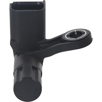 HOLSTEIN 2CAM0635