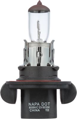 NAPA Lamps BP9008NVCN view 6