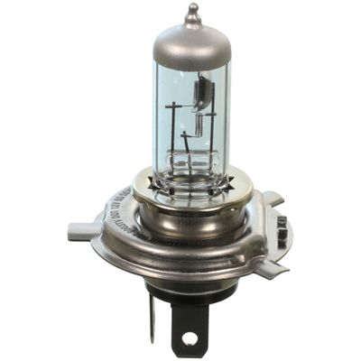 Wagner Lighting TruView BP9003TVX2