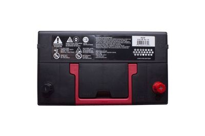 FVP Platinum Batteries P27F view 3