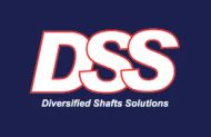 DSS logo