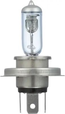 NAPA Lamps BP9003NVVN view 12