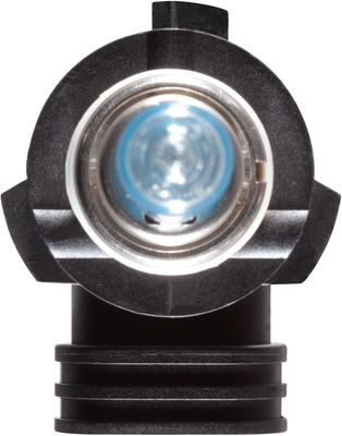 NAPA Lamps BP9005NVV2N view 10