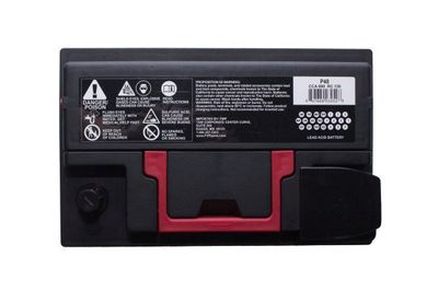 FVP Platinum Batteries P48 view 3