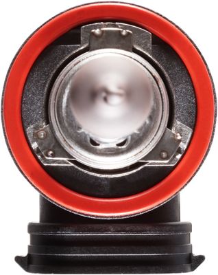 NAPA Lamps BPH11NVCN view 6