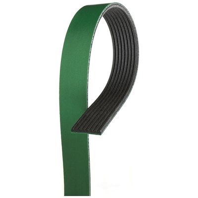 NAPA Belts/Hose 25080948HD