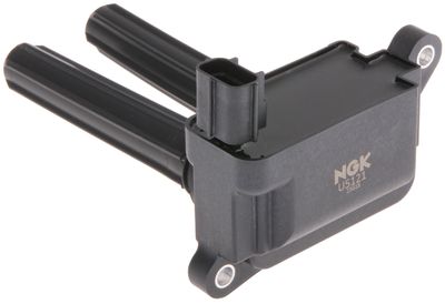 NGK 48716