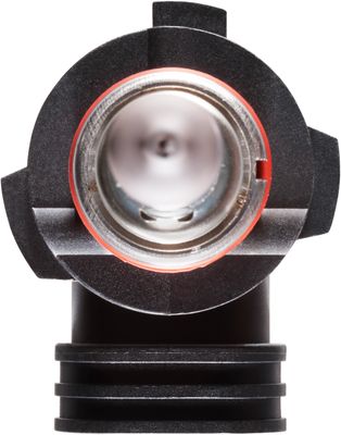 NAPA Lamps BP9005NVCN view 8