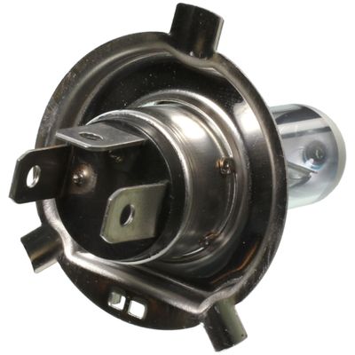 Wagner Lighting TruView BP9003TVX2 view 2