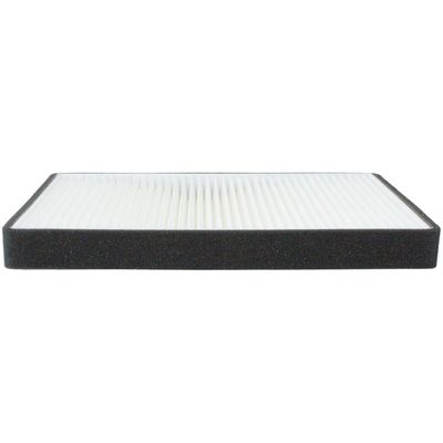 Champ Filters CAF1812P