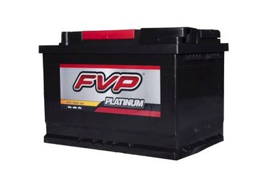 FVP Platinum Batteries P48 view 2