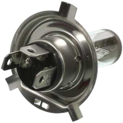 Wagner Lighting 9003 view 2
