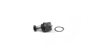 SKF VKDS118006