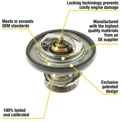 NAPA SS2036417
