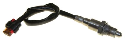 Walker Products 250241199