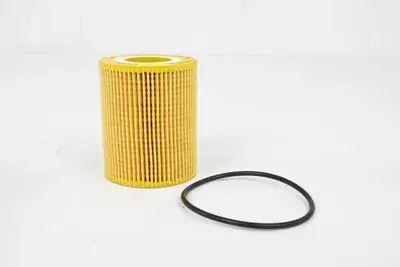 Motorcraft FL2081 view 5