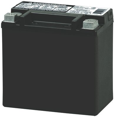 NAPA Batteries AUX14