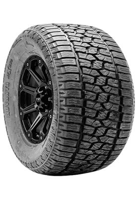 Advanta Advanta Tires RTX-850 tire