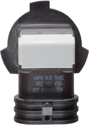 NAPA Lamps BP9005NVB2N view 9