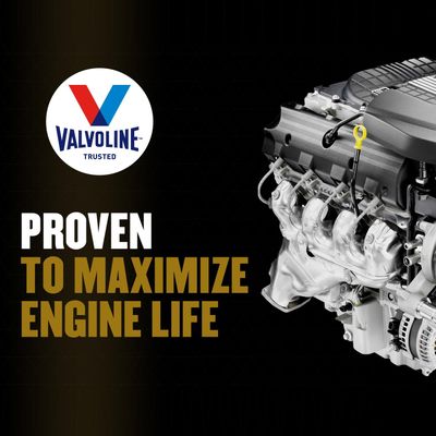 Valvoline 891682 view 8