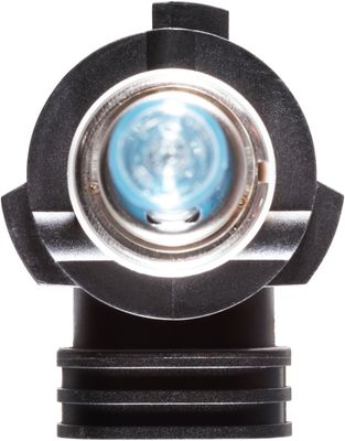 NAPA Lamps BP9005NVVN view 8