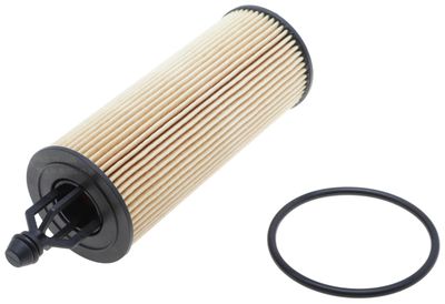 FRAM TG11665 view 6