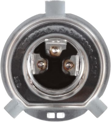 NAPA Lamps BP9003NVCN view 9