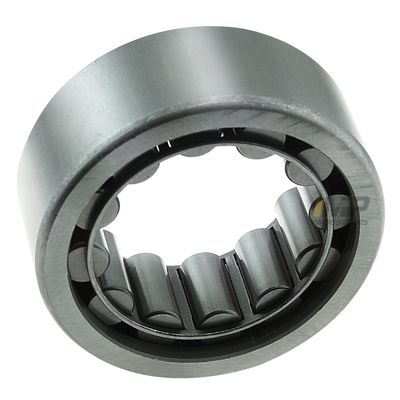 InMotion Parts WBR1561TV view 2