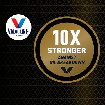 Valvoline 891682 view 4