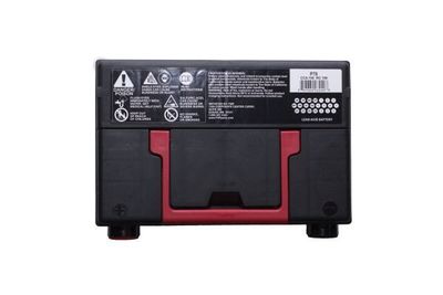 FVP Platinum Batteries P78 view 3