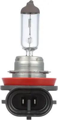 NAPA Lamps BPH11NVCN view 12