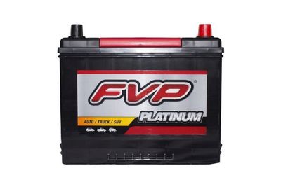 FVP Platinum Batteries P24F