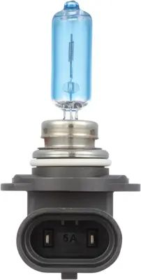 NAPA Lamps BP9005NVBN view 12