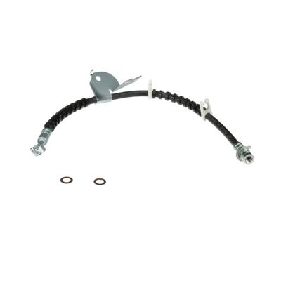 Sunsong 2207756